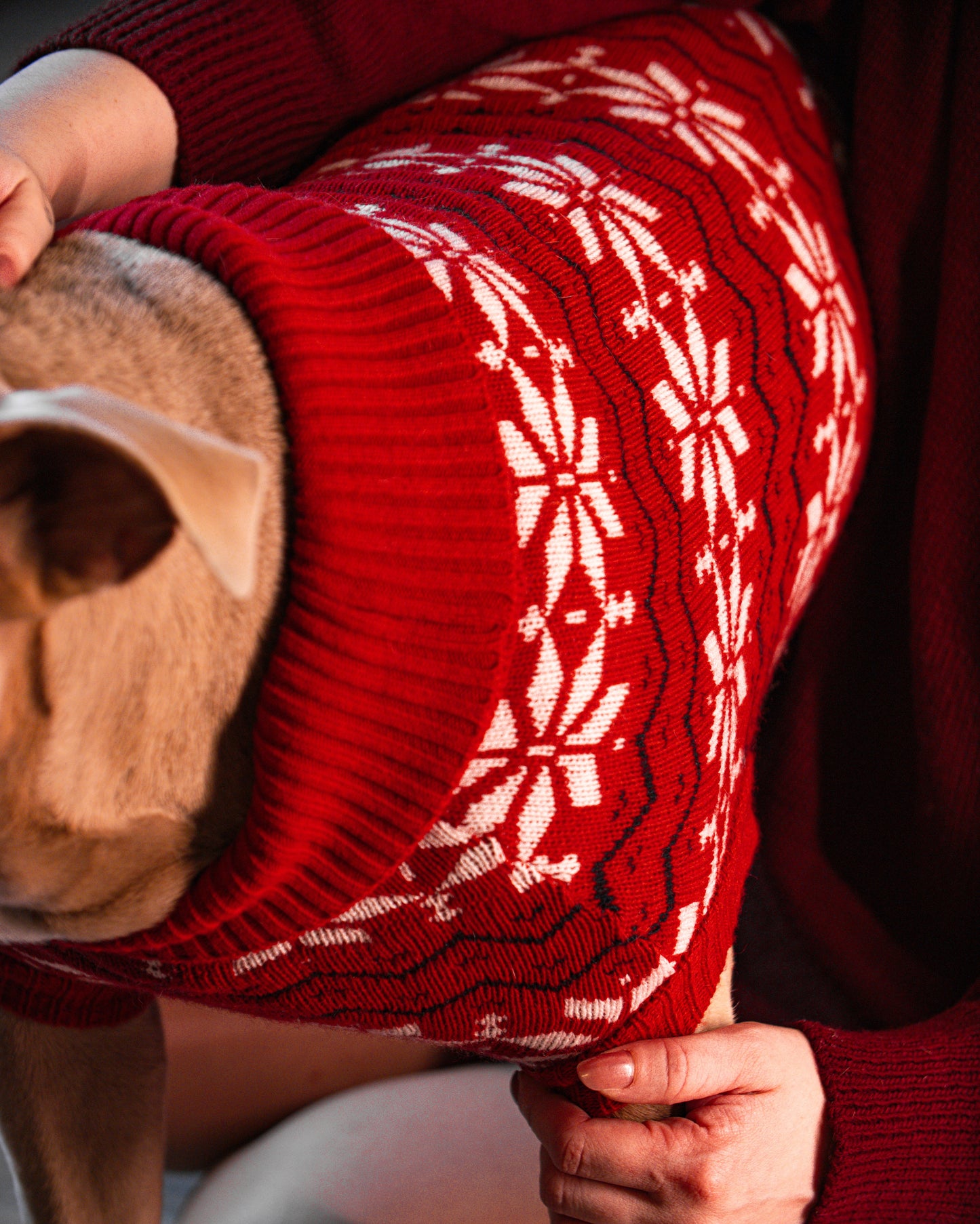 Maglione Balto CHRISTMAS EDITION