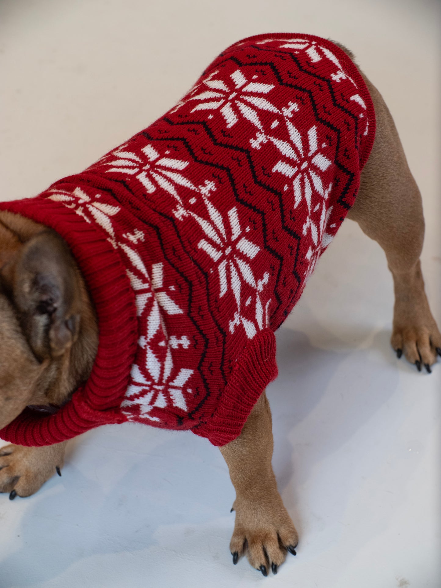 Maglione Balto CHRISTMAS EDITION
