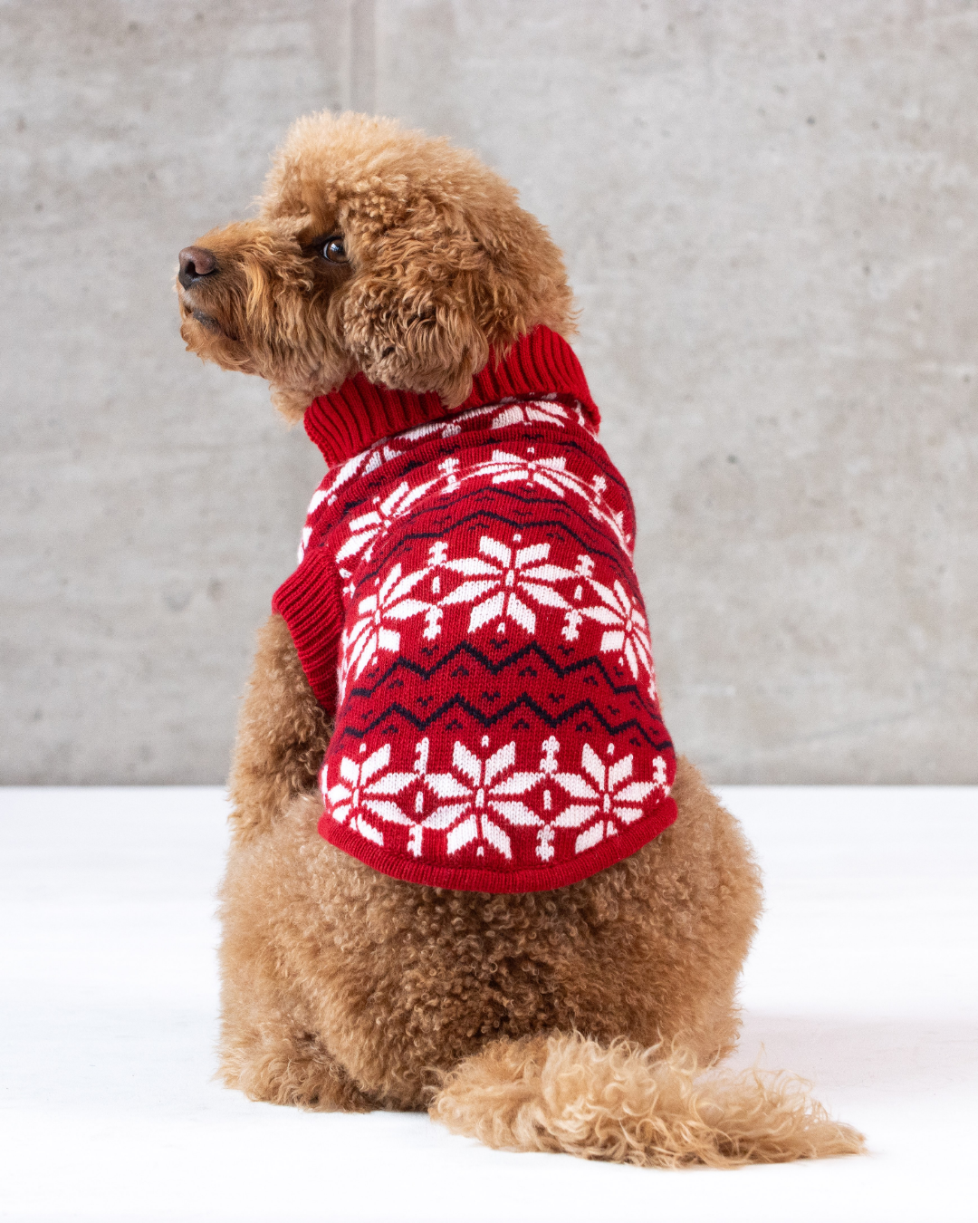 Maglione Balto CHRISTMAS EDITION