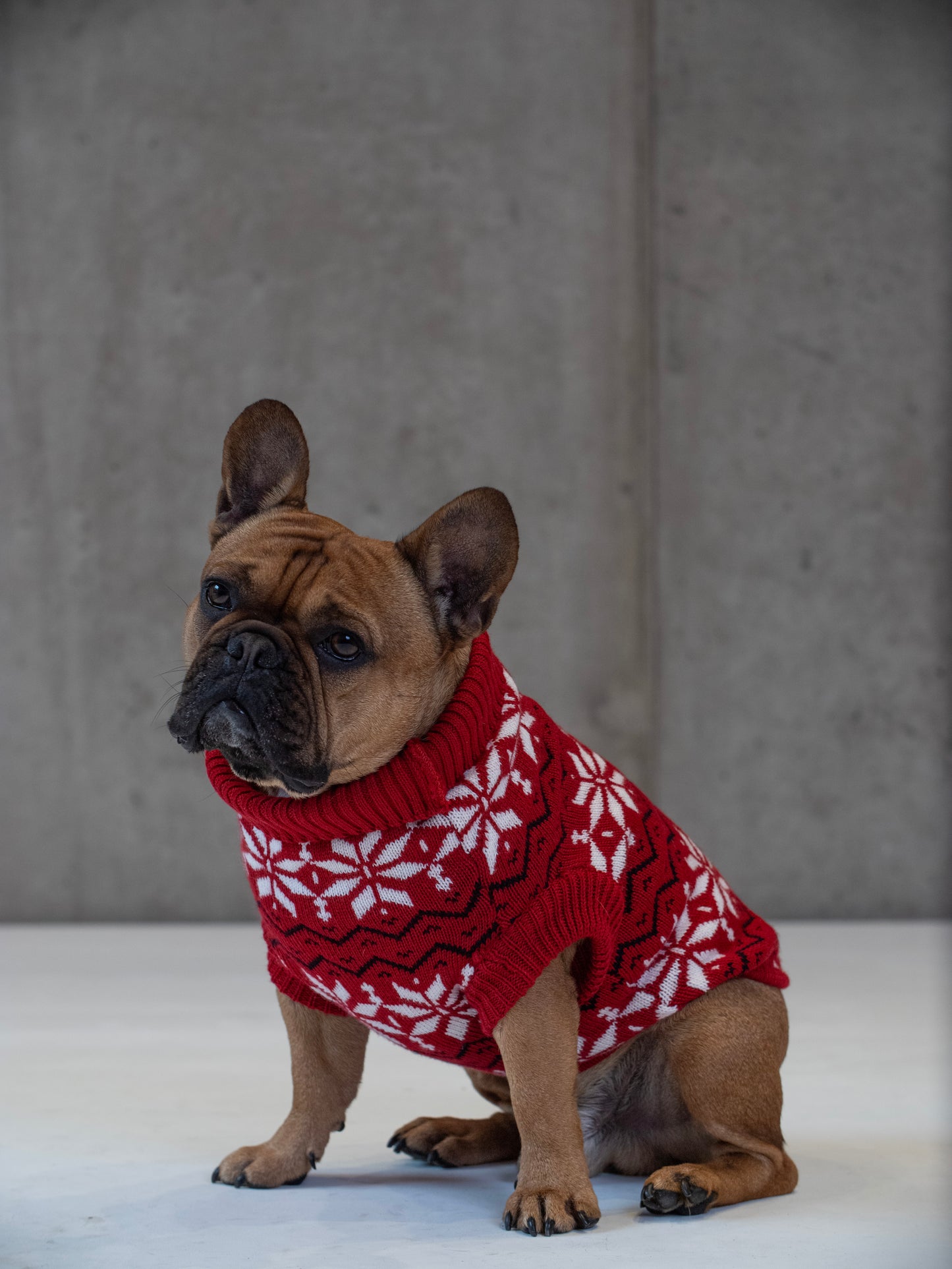 Maglione Balto CHRISTMAS EDITION