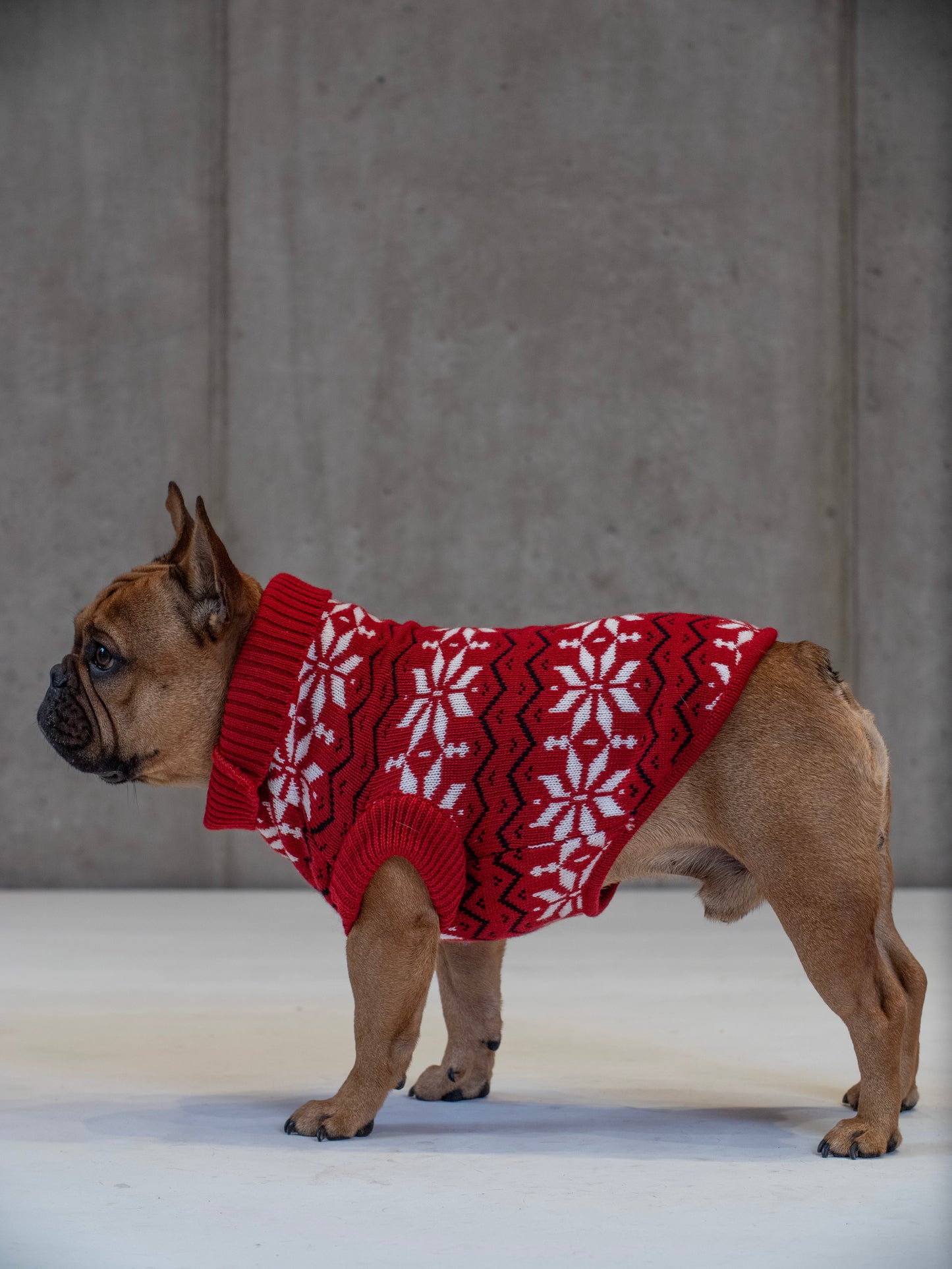 Maglione Balto CHRISTMAS EDITION